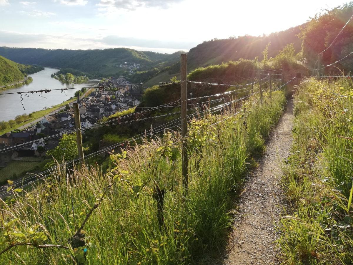 Eifelpause Appartement Plaidt Buitenkant foto